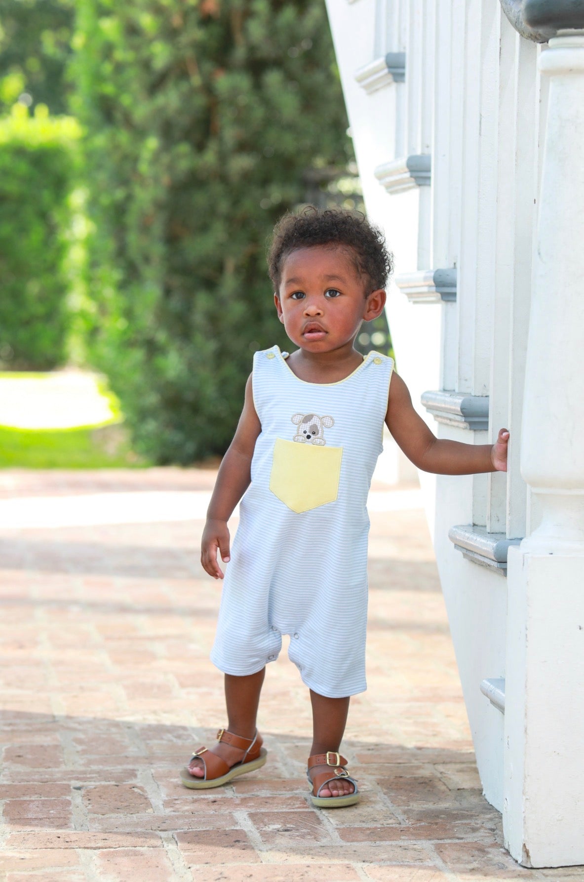 Trotter Street | Puppy Paws Jon Jon