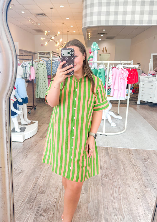 Andie Green Striped Dress