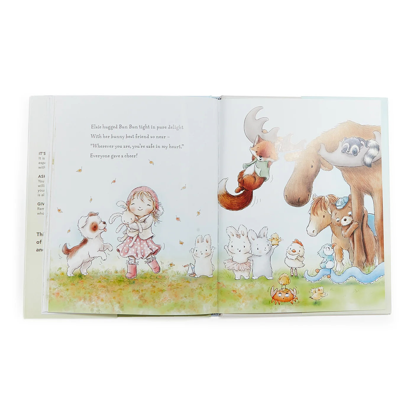 Bun Bun A Lovely Story Book