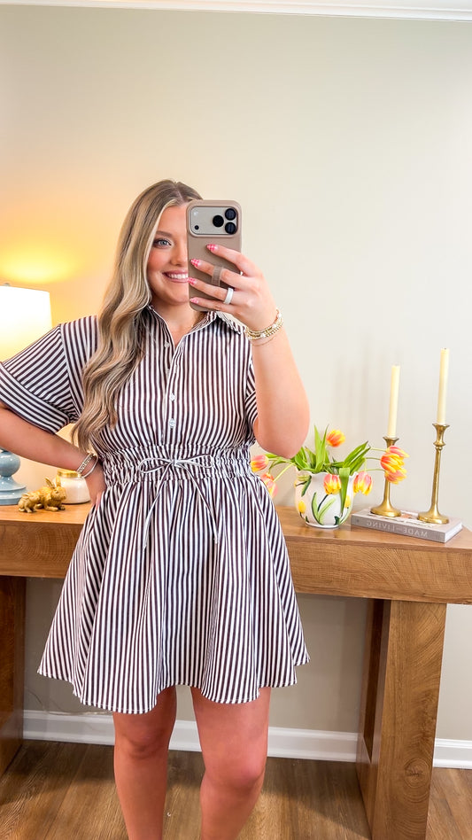 Lily Brown Striped Dress