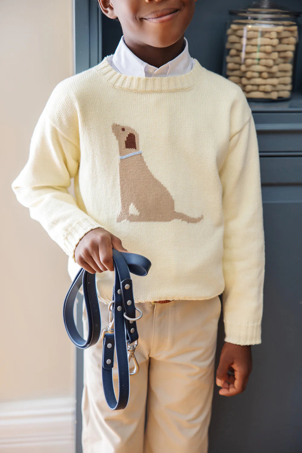 TBBC - Isaac's Intarsia Sweater Palmetto Pearl/Dog