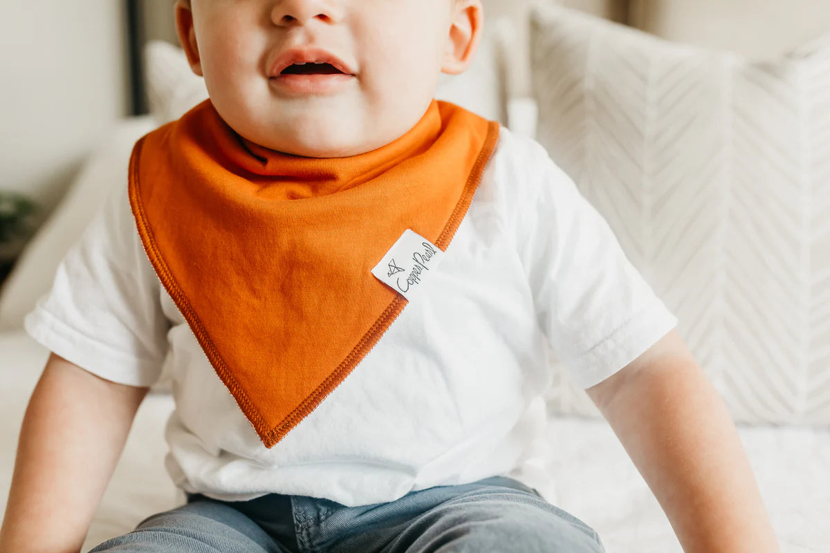 Copper Pearl - Blaze Baby Bandana Bib Set