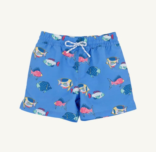 TBBC | Tortola Swim Trunks - Here Fishy Fishy