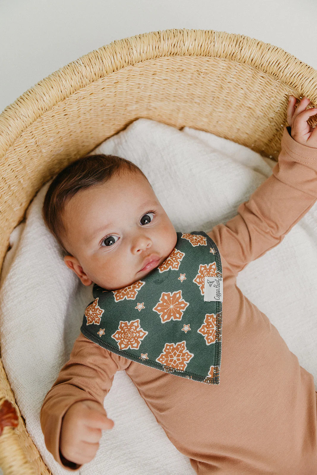 Copper Pearl - Gingerbread Bandana Bib Set