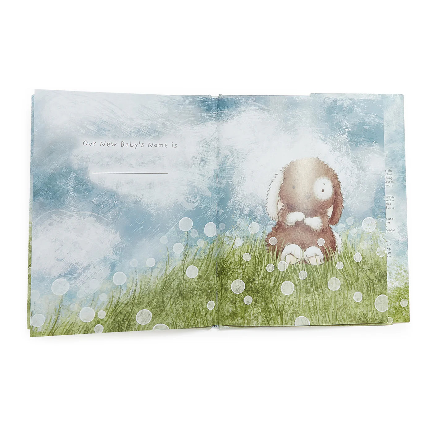 Who Will Our New Baby Be? Story Book