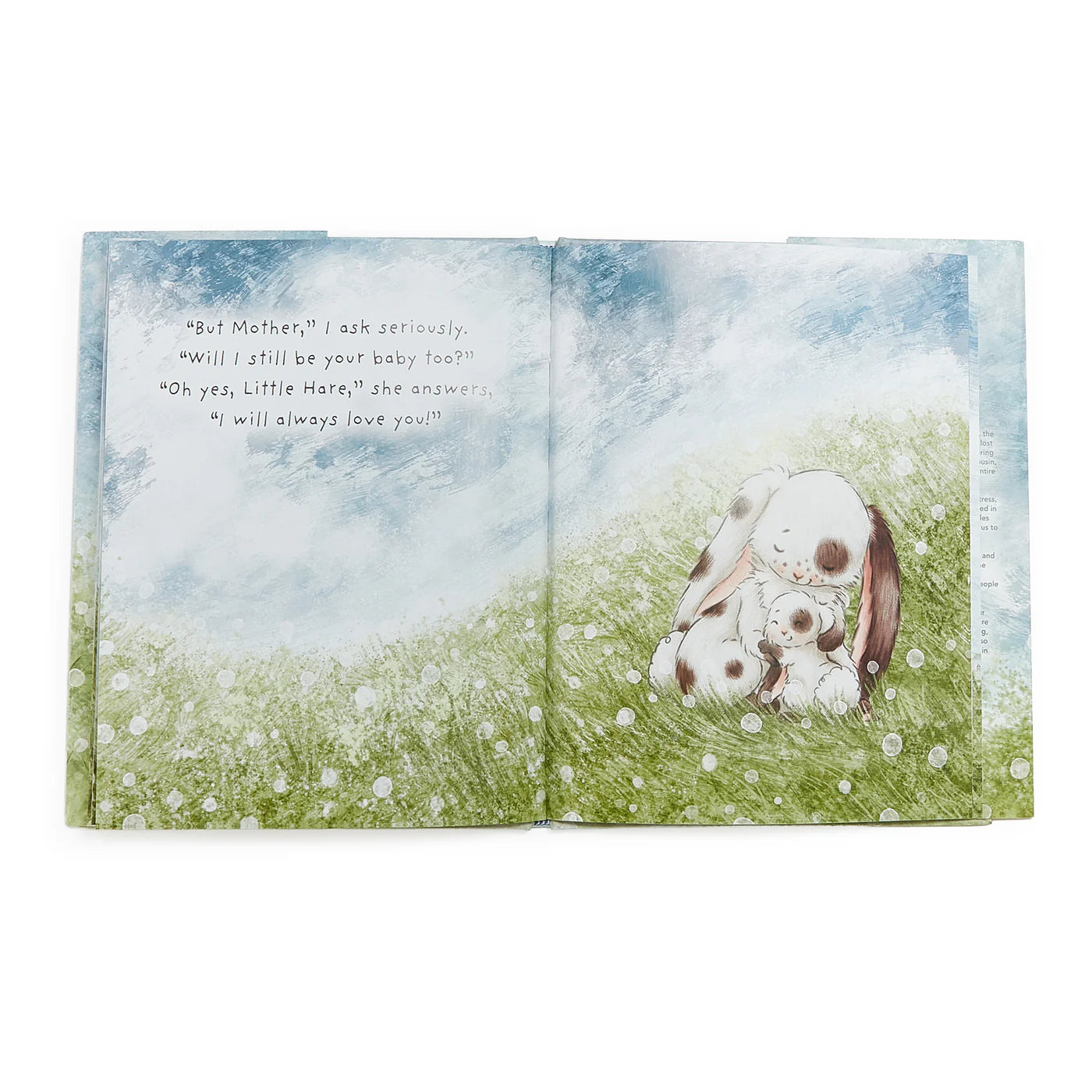 Who Will Our New Baby Be? Story Book