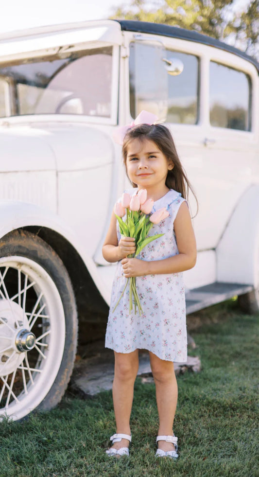 Proper Peony - Bea Blue Floral Swiss Dress