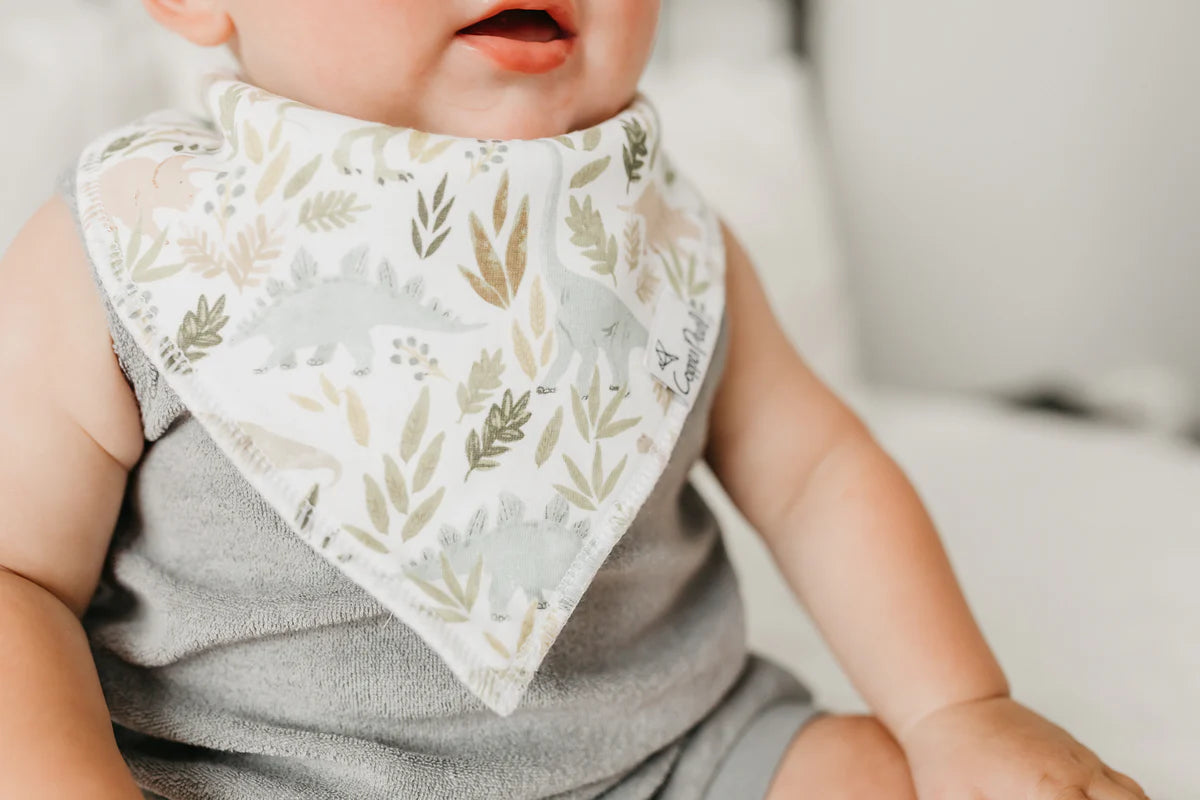 Copper Pearl - Rex Baby Bandana Bib Set