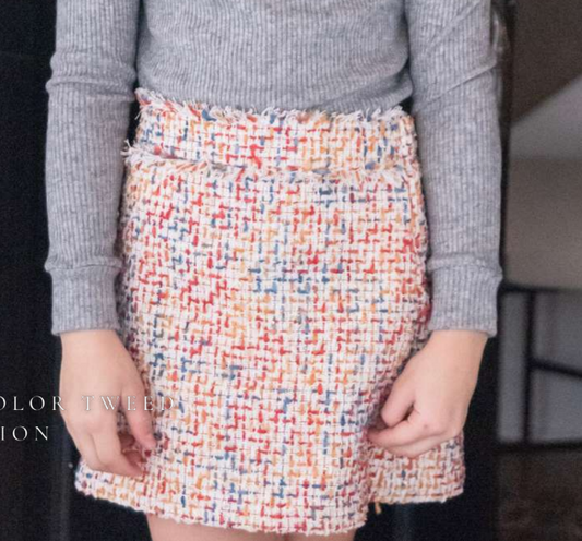 BE Elizabeth - Multi Color Tweed Skirt