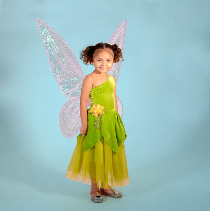 Joy - Frog Princess/Tinker Fairy Costume