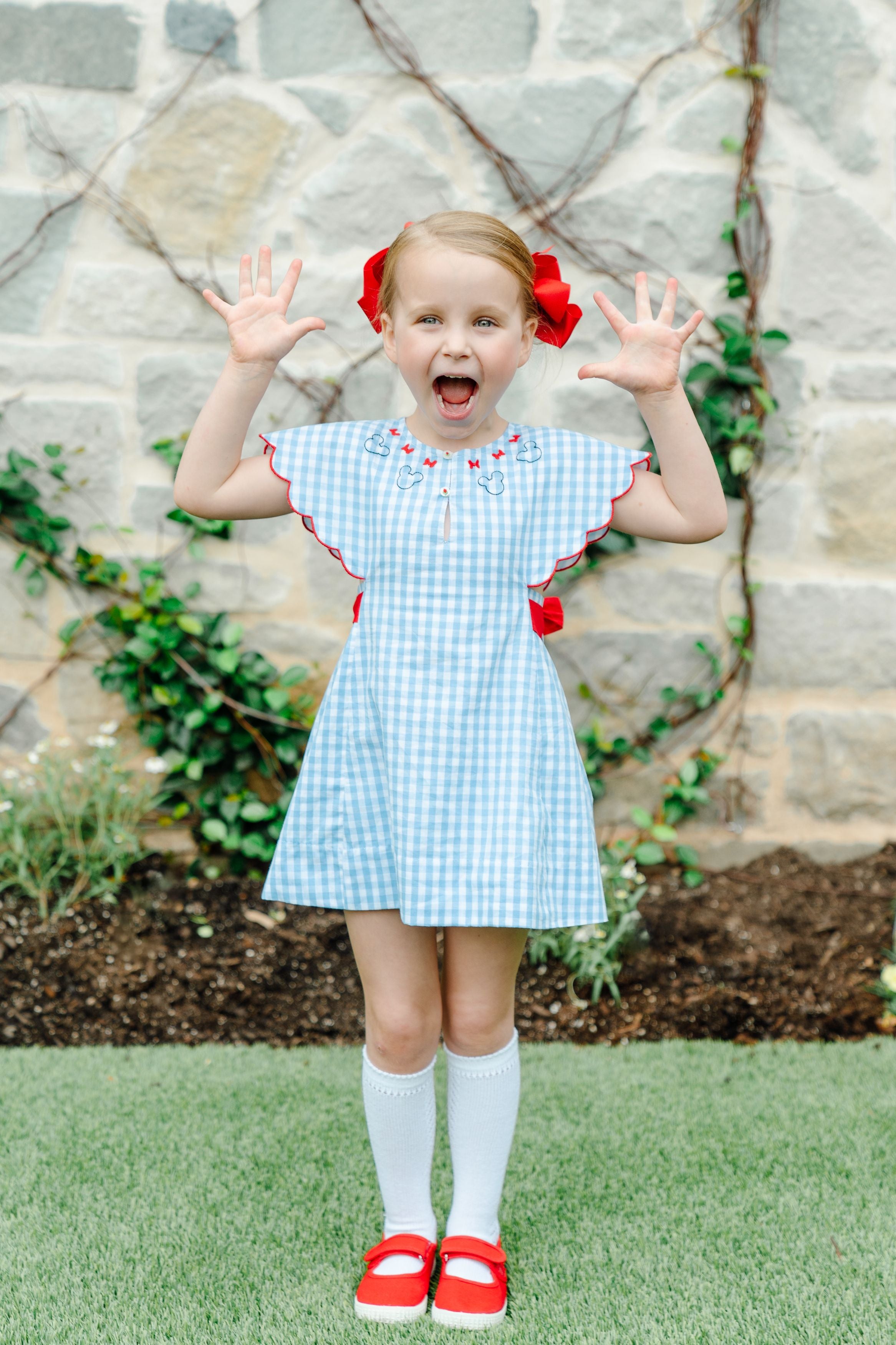 NWT The Proper Peony 3T Celeste Gingham Sundress 2024